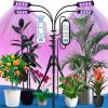 imageEverlasting Comfort Grow Lights for Indoor Plants Full Spectrum  Plant Lights for Indoor Growing 4 Lamps 318 Hour Timer Adjustable 62quot Tripod LED Grow Lights Plant Light for Seed Starting
