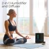 imageEverlasting Comfort Humidifiers for Bedroom 4L  Quiet Cool Mist Small Humidifier for Large Room with Oil Diffuser 40Hour Runtime Easy to Clean Auto ShutOff Ideal for Baby Nursery ampamp PlantsBlack
