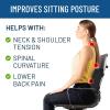 imageEverlasting Comfort Lumbar Support Pillow for Office Chair  Memory Foam Back Cushion for Chair Car  Lumbar Pillow Promotes Better Posture Back Relief  Ideal for Gaming and Desk Chairs  2 Pack