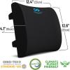 imageEverlasting Comfort Lumbar Support Pillow for Office Chair  Memory Foam Back Cushion for Chair Car Couch  Lumbar Pillow Promotes Better Posture Back Pain Relief  Ideal for Gaming and Desk ChairsBlack