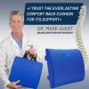 imageEverlasting Comfort Lumbar Support Pillow for Office Chair  Memory Foam Back Cushion for Chair Car Couch  Lumbar Pillow Promotes Better Posture Back Pain Relief  Ideal for Gaming and Desk ChairsBlue Limited Edition