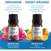 imageEverlasting Comfort Pure Essential Oils Set  Natural Aromatherapy Essential Oils for Diffuser Humidifier Home Skin  Lavender Geranium Vanilla Eucalyptus Tea Tree Sweet Orange Fragrance Kit