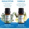 imageEverlasting Comfort Pure Essential Oils Set  Natural Aromatherapy Essential Oils for Diffuser Humidifier Home Skin  Lavender Geranium Vanilla Eucalyptus Tea Tree Sweet Orange Fragrance Kit