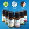imageEverlasting Comfort Pure Essential Oils Set  Natural Aromatherapy Essential Oils for Diffuser Humidifier Home Skin  Lavender Geranium Vanilla Eucalyptus Tea Tree Sweet Orange Fragrance Kit