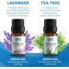 imageEverlasting Comfort Pure Essential Oils Set  Natural Aromatherapy Essential Oils for Diffuser Humidifier Home Skin  Lavender Geranium Vanilla Eucalyptus Tea Tree Sweet Orange Fragrance Kit