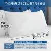 imageEverlasting Comfort Waterproof Pillow Protector Standard Pack of 2  Zippered Hypoallergenic Dust Mite ampamp Bed Bug Proof Allergy Pillow CoversKing