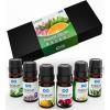 imageEverlasting Comfort Pure Essential Oils Set  Natural Aromatherapy Essential Oils for Diffuser Humidifier Home Skin  Lavender Geranium Vanilla Eucalyptus Tea Tree Sweet Orange Fragrance Kit