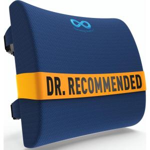 imageEverlasting Comfort Lumbar Support Pillow for Office Chair  Memory Foam Back Cushion for Chair Car Couch  Lumbar Pillow Promotes Better Posture Back Pain Relief  Ideal for Gaming and Desk ChairsNavy Blue