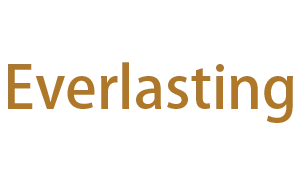 Everlasting Comfort